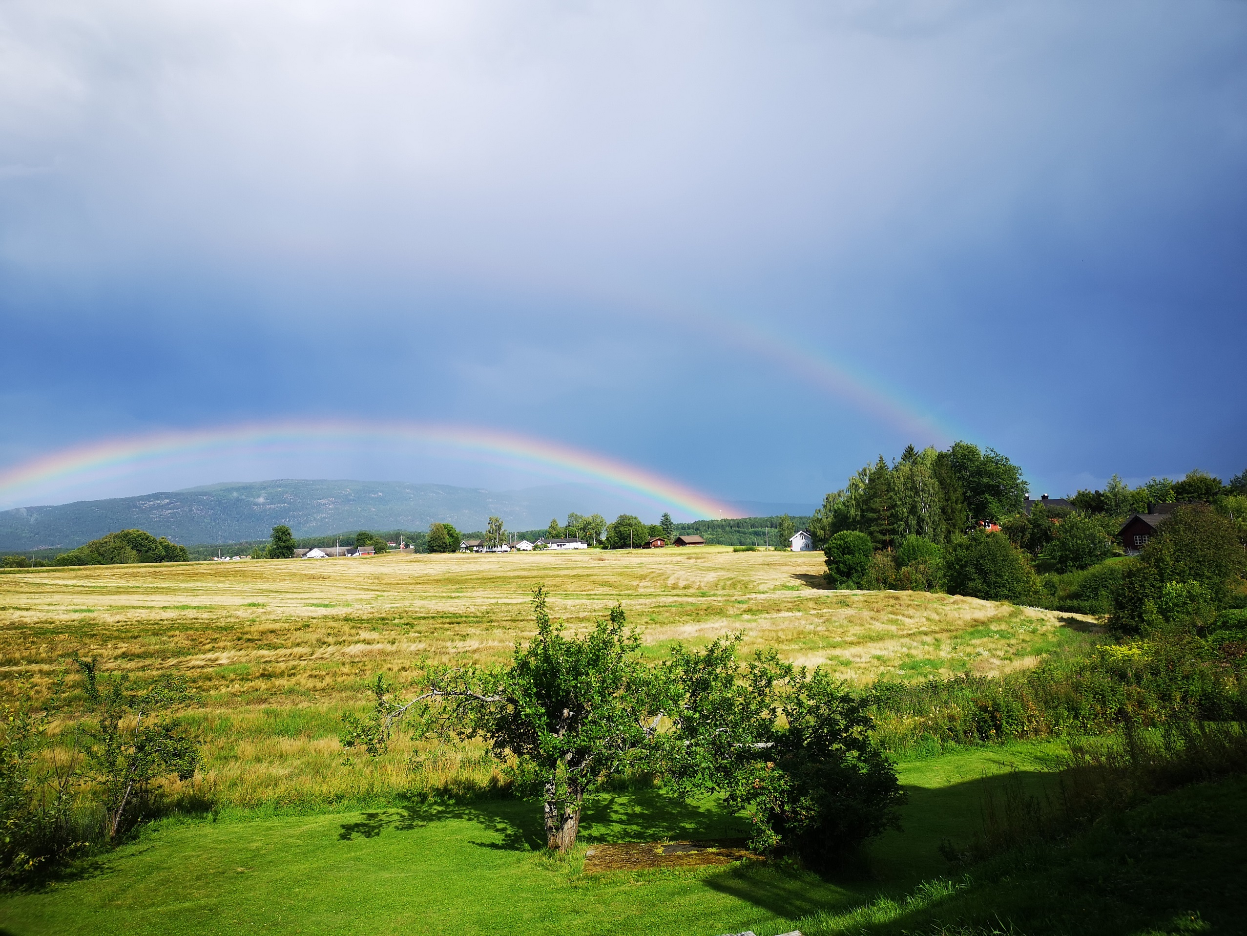 IMG_20230805_165727 REDUSERT