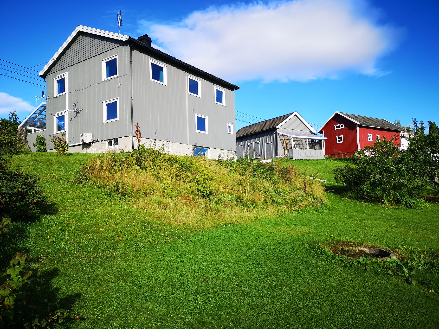 IMG_20230810_083429 REDUSERT